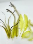 ArtsCraft-111.jpg
