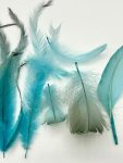 ArtsCraft-112.jpg