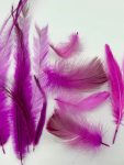 ArtsCraft-12.jpg