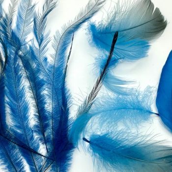 Petal Glow Kit
