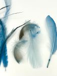 ArtsCraft-99.jpg